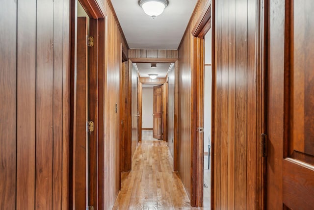 hallway with wooden walls and light wood-type flooring