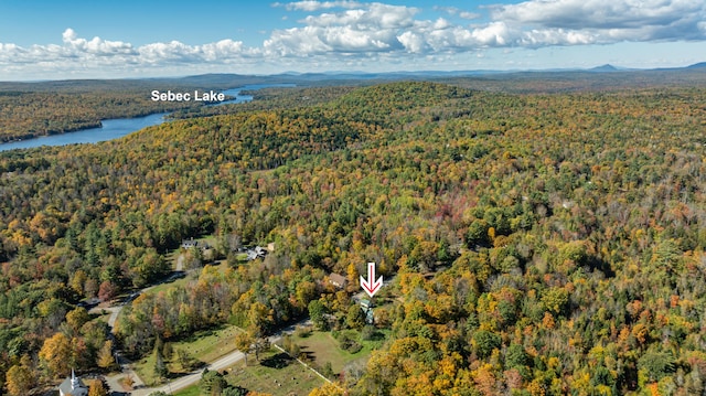 bird's eye view featuring a water and mountain view