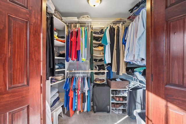 walk in closet featuring carpet flooring