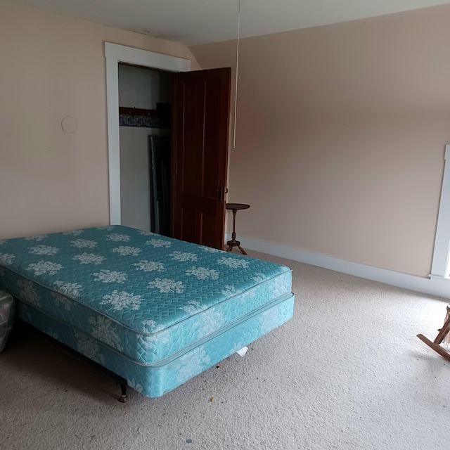 unfurnished bedroom featuring carpet floors and a closet