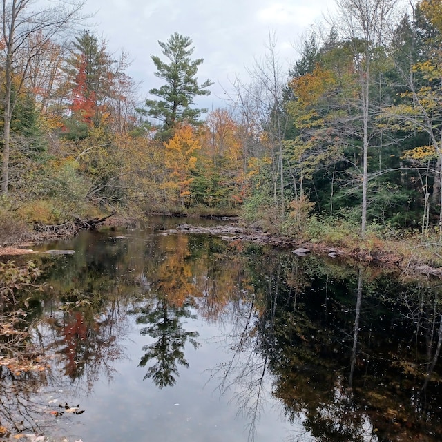 view of water feature