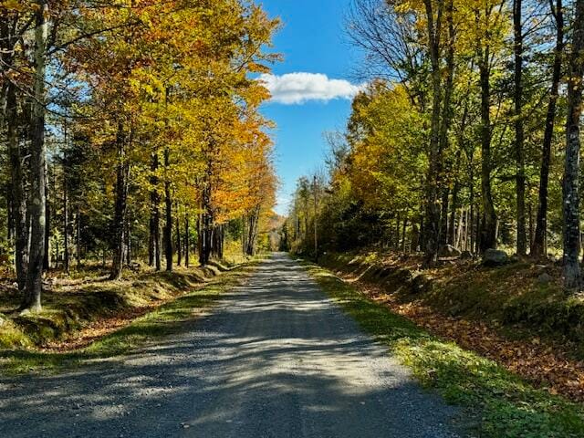 view of road