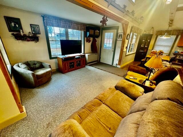 living room featuring carpet flooring