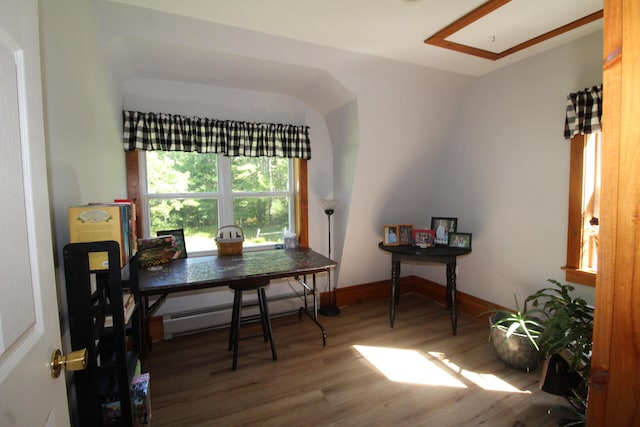 interior space with a baseboard radiator, wood-type flooring, and lofted ceiling