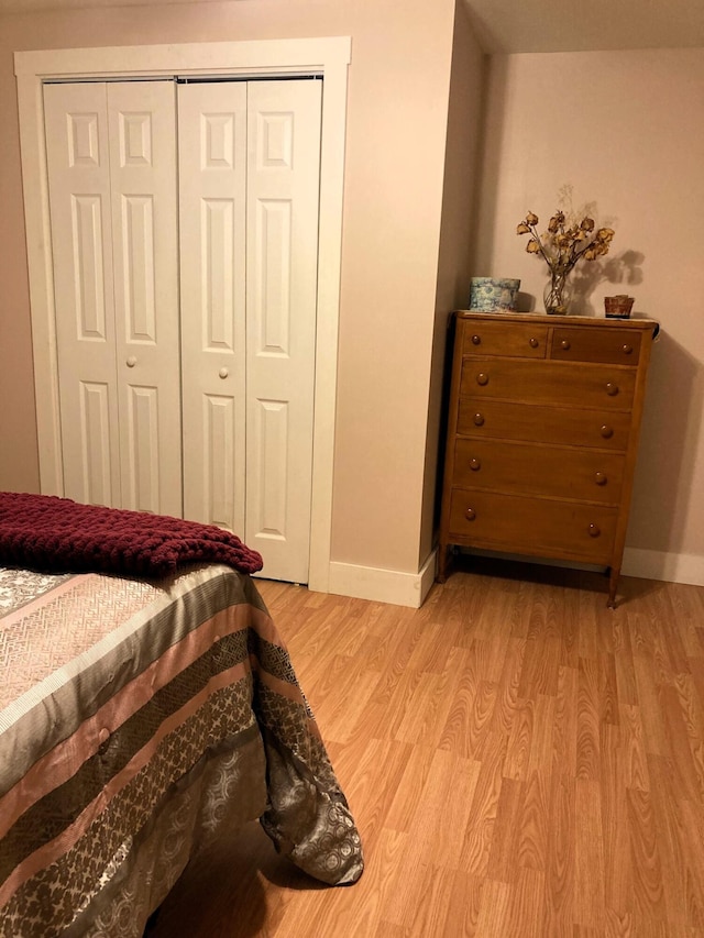 bedroom featuring a closet and light hardwood / wood-style floors