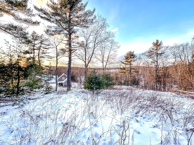 view of snowy yard