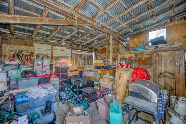 miscellaneous room with lofted ceiling and wood walls