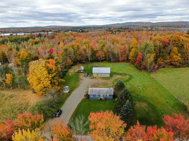 drone / aerial view