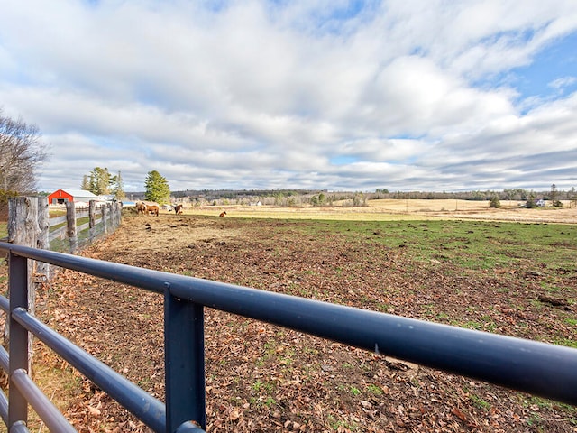 view of yard with a rural view