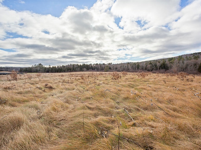 view of local wilderness featuring a rural view