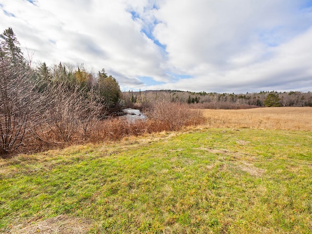 view of yard featuring a rural view