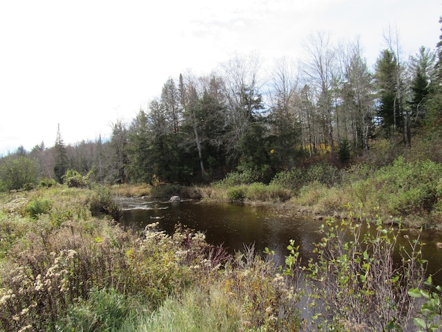 view of local wilderness with a water view