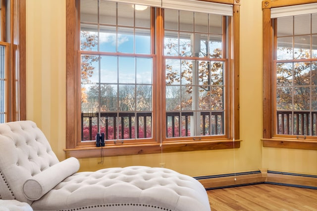 sitting room with wood-type flooring and a wealth of natural light