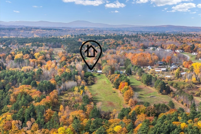 aerial view with a mountain view