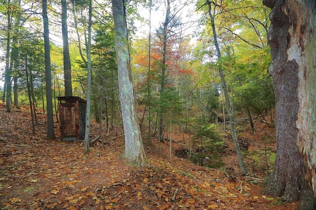 view of local wilderness