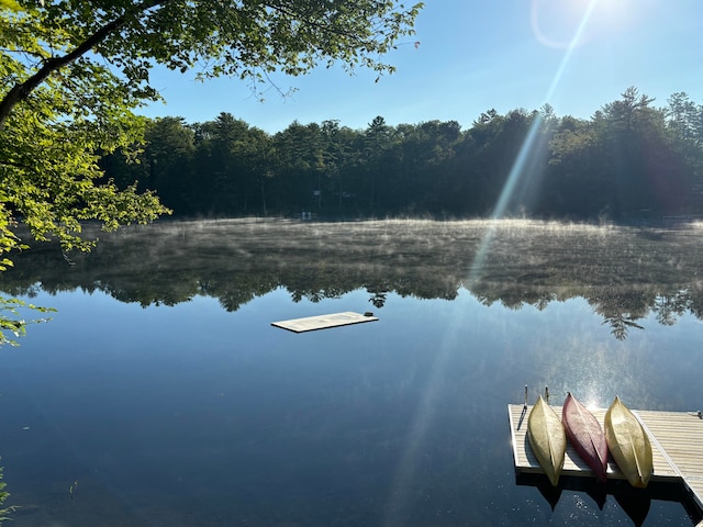 property view of water