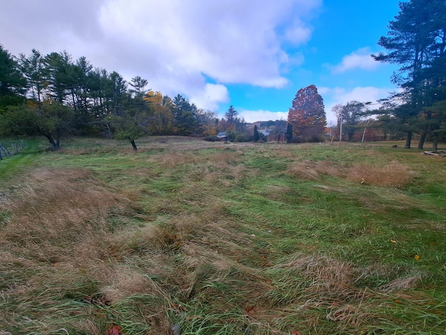 view of yard with a rural view