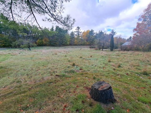 view of yard with a rural view