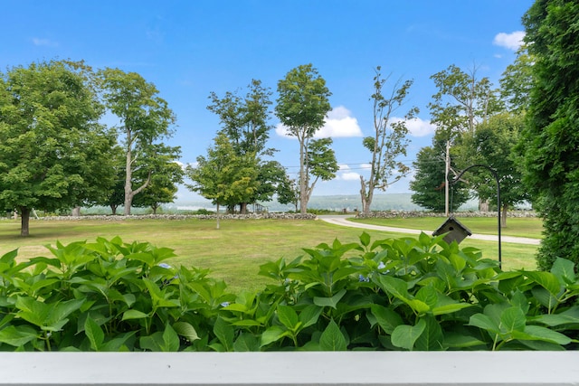 view of home's community with a yard and a water view