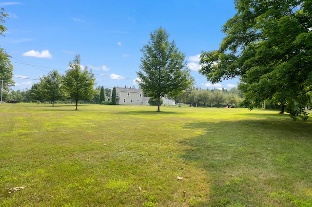 view of yard