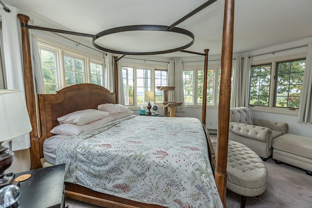 bedroom with a baseboard radiator and carpet floors