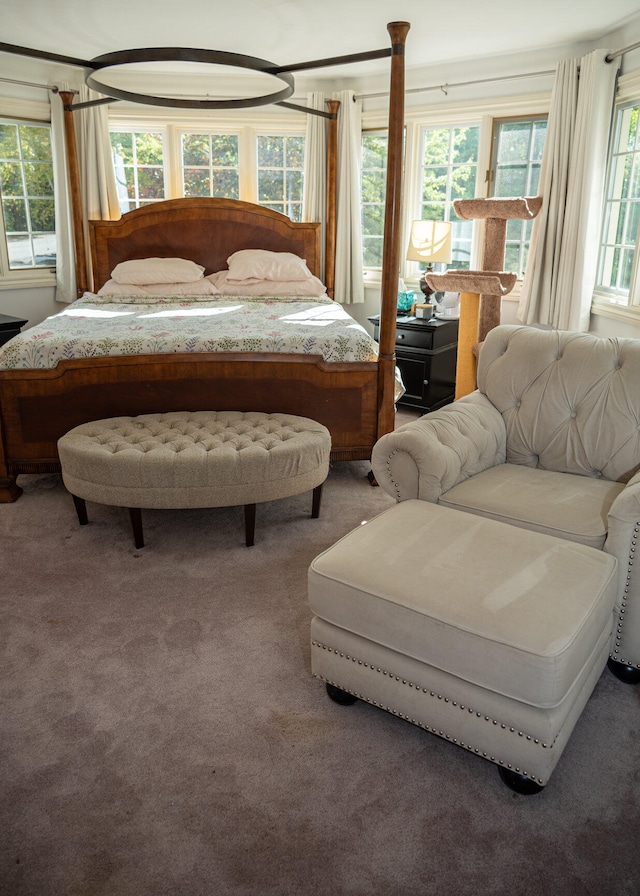 bedroom with carpet and multiple windows