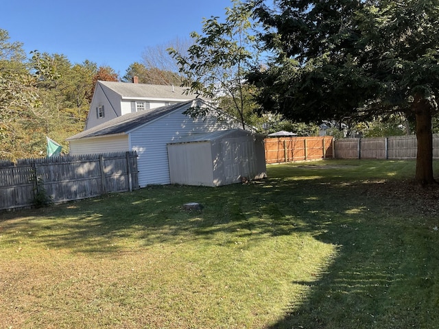 view of yard featuring a shed