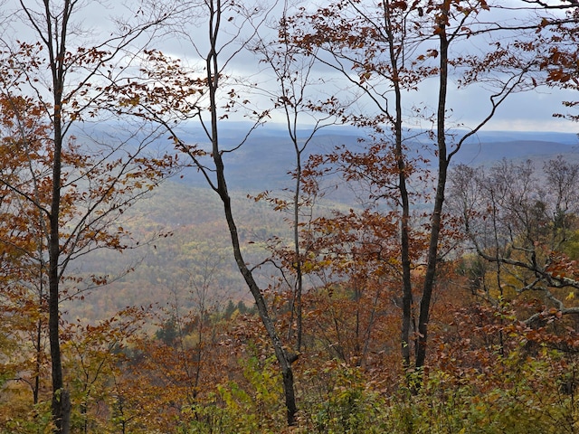 Listing photo 3 for LOT018 Spruce Mountain Rd, Woodstock ME 04219