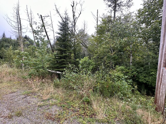 36 Addie Rd, Ellsworth, ME 04605 - photo 5