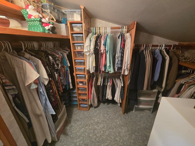 spacious closet with dark carpet