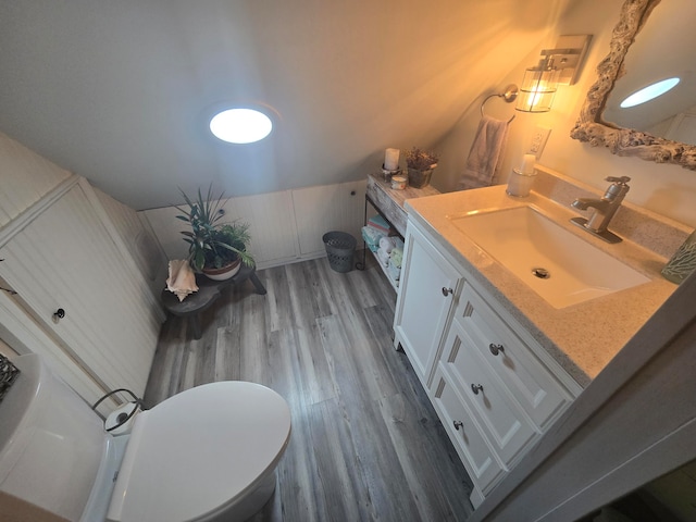 bathroom featuring vanity, wood-type flooring, and vaulted ceiling