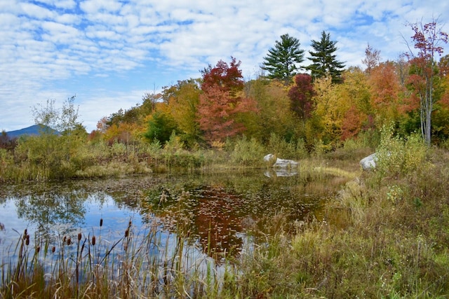 Listing photo 2 for LOTS72-74 Lovell Rd, Fryeburg ME 04037