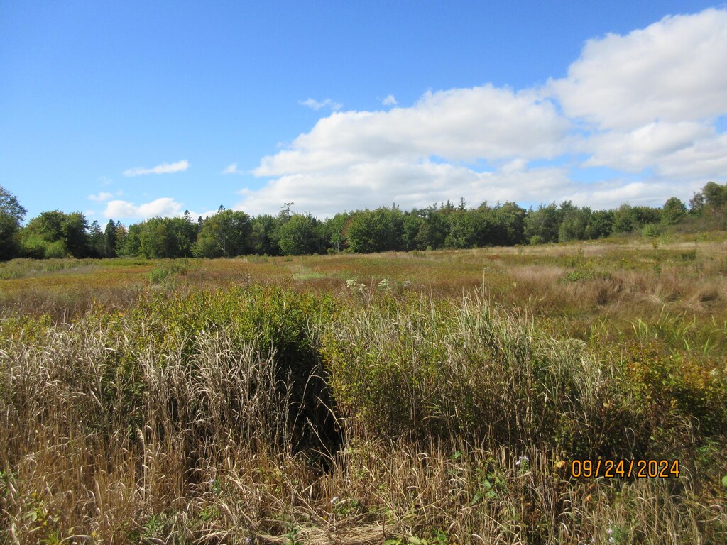 0 Mason Bay Rd, Jonesport, ME 04649 - photo 1