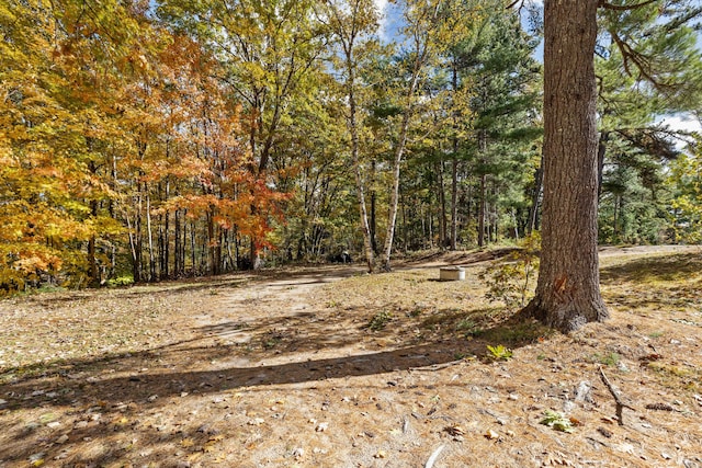 view of local wilderness