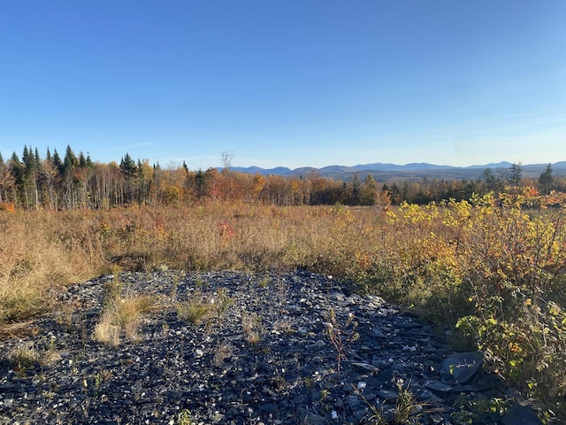 8 E Ridge Dr, Greenville, ME 04441