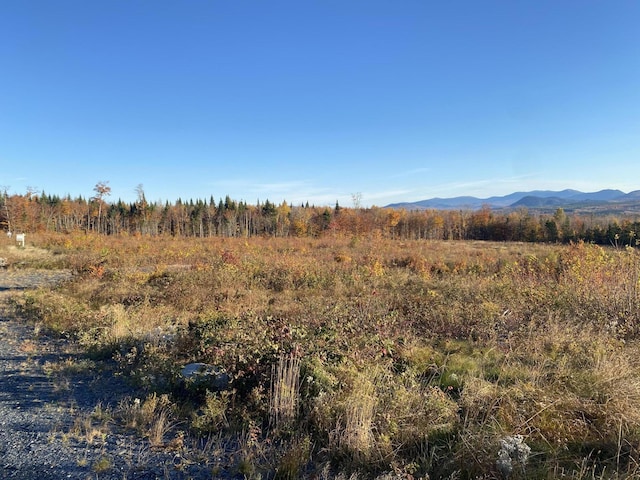 8 E Ridge Dr, Greenville, ME 04441