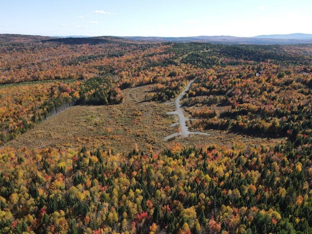 8 E Ridge Dr, Greenville, ME 04441