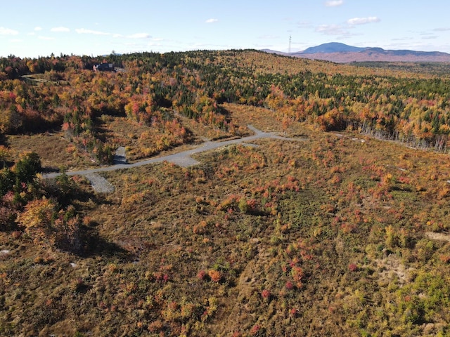 8 E Ridge Dr, Greenville, ME 04441