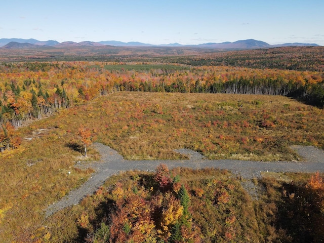 8 E Ridge Dr, Greenville, ME 04441