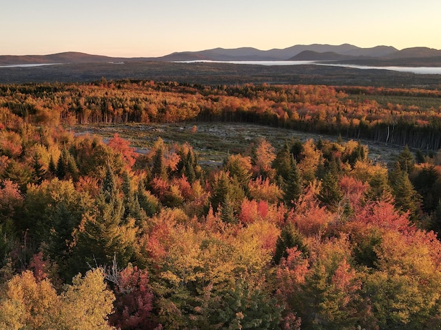 8 E Ridge Dr, Greenville, ME 04441