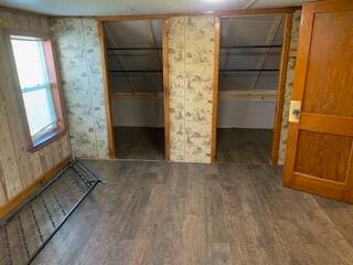 unfurnished bedroom featuring dark wood-type flooring, a closet, and a spacious closet