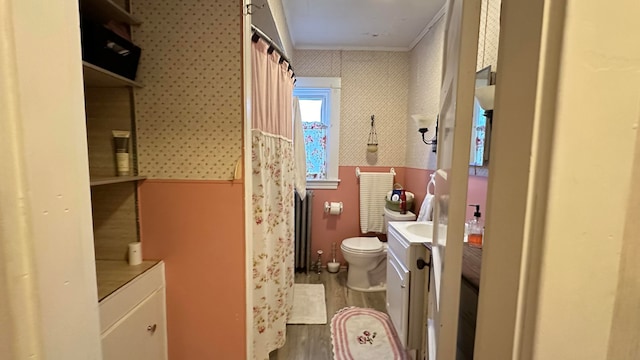 bathroom with vanity, hardwood / wood-style floors, and toilet