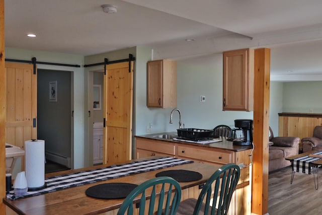 kitchen featuring light brown cabinets, light hardwood / wood-style flooring, a barn door, and sink