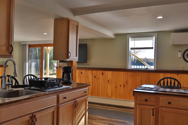 kitchen with light hardwood / wood-style floors, a wall mounted AC, a baseboard radiator, and a wealth of natural light