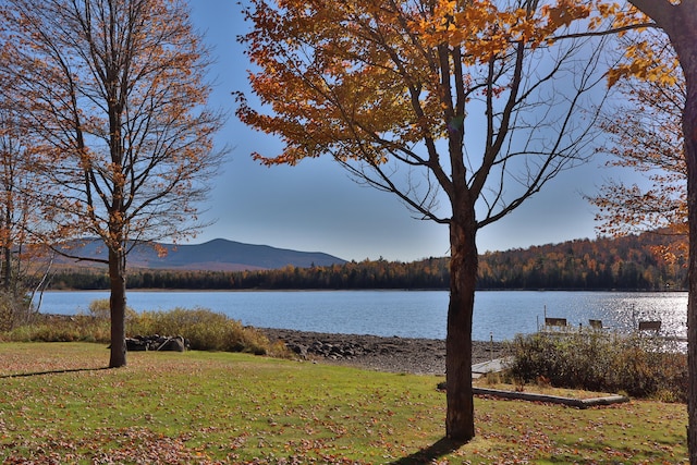 property view of water with a mountain view