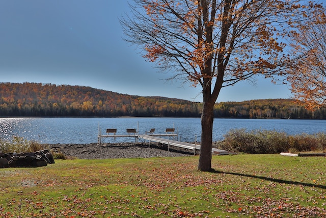 property view of water featuring a boat dock