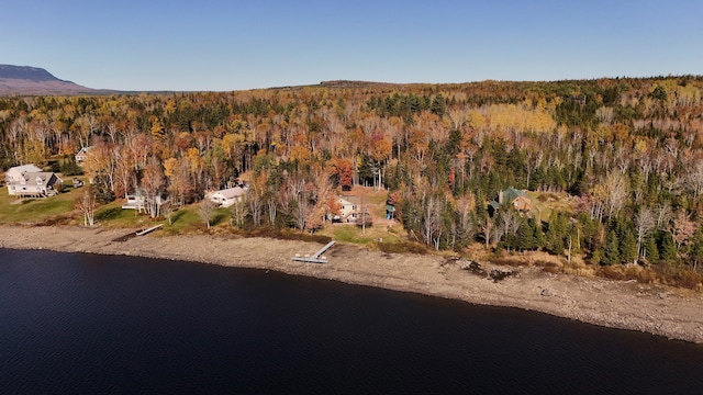 drone / aerial view with a water and mountain view