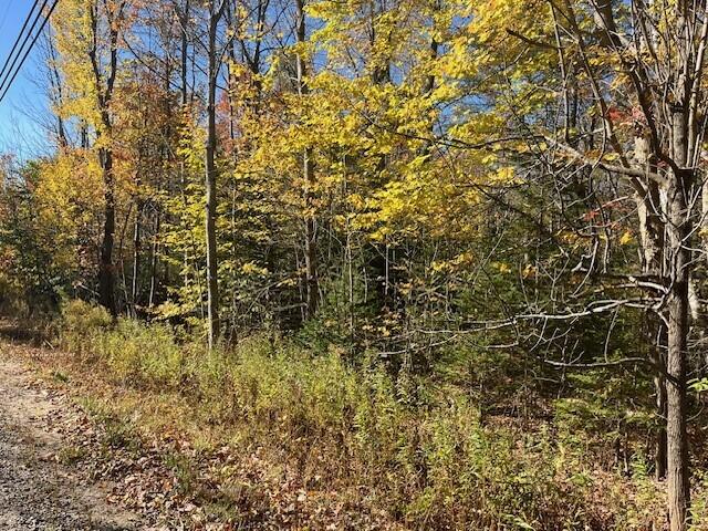 288 Ryerson Hill Rd, Paris ME, 04281 land for sale