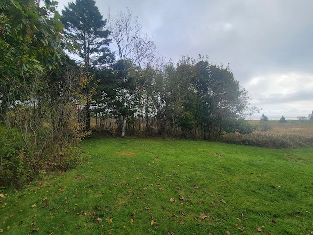 46 S Lubec Rd, Lubec, ME 04652 - view of grassy yard