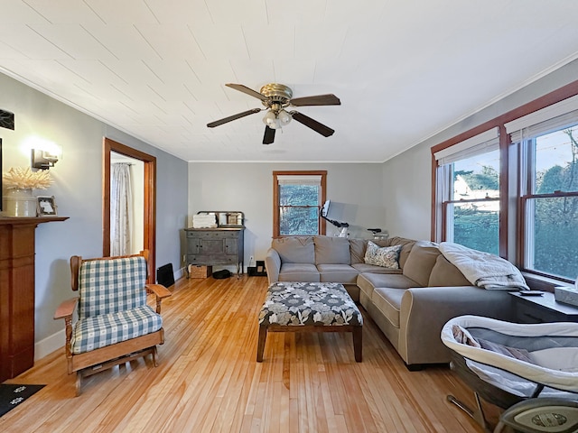 living room with crown molding, light hardwood / wood-style flooring, and ceiling fan